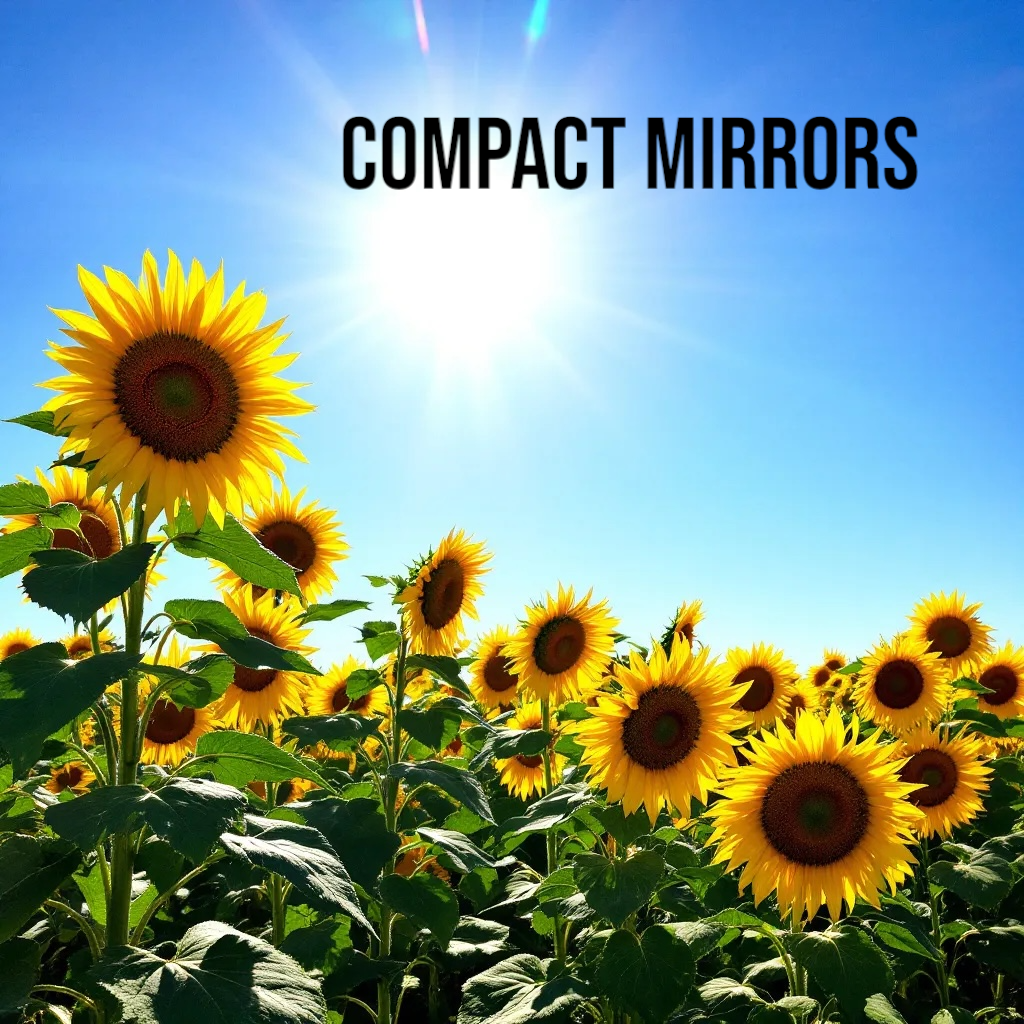 Compact Mirror