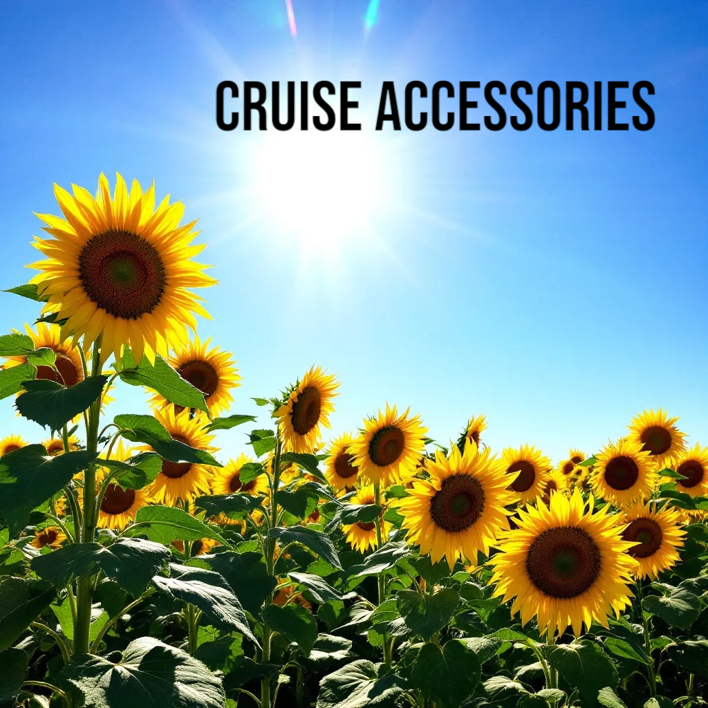 Cruise Accessories