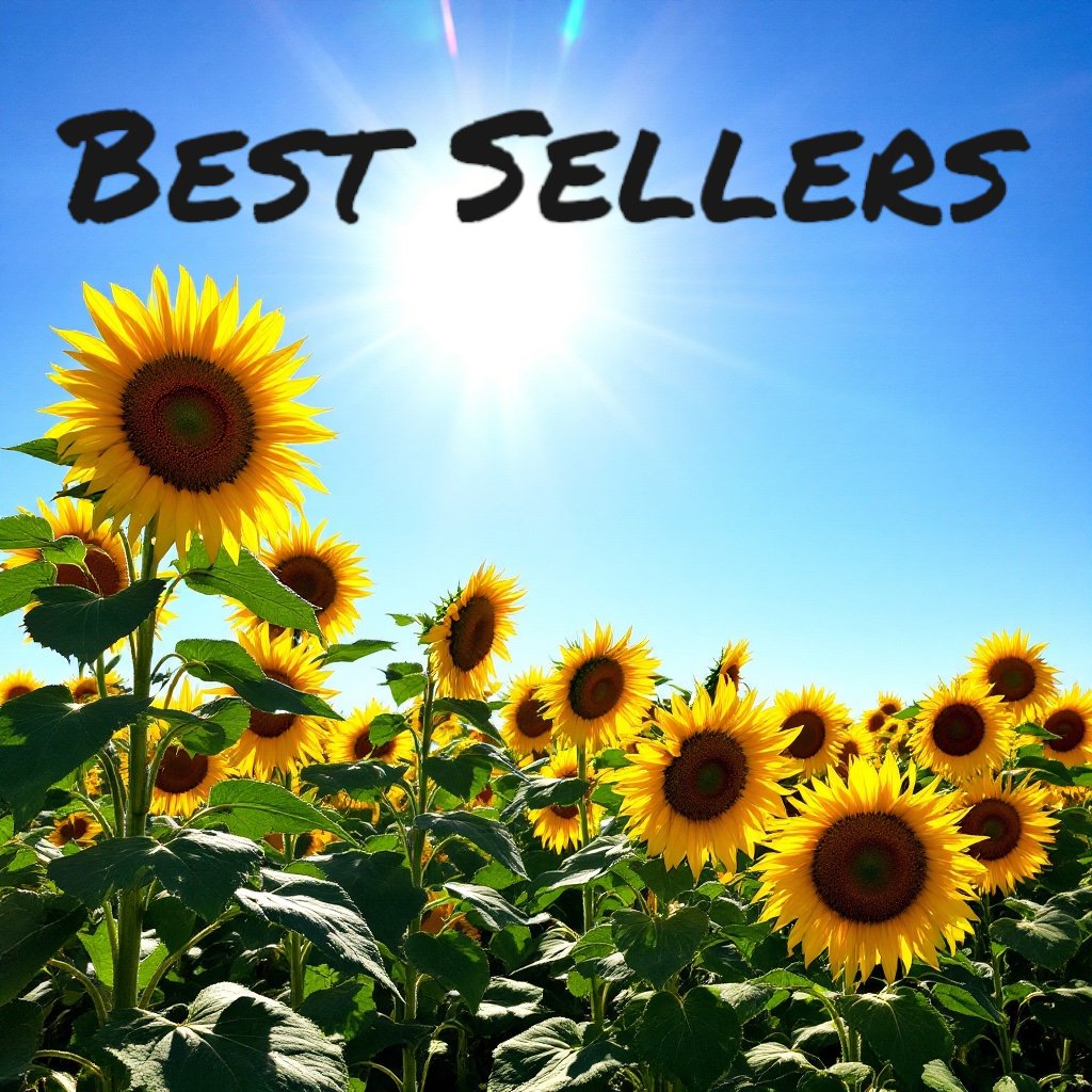 Best Sellers