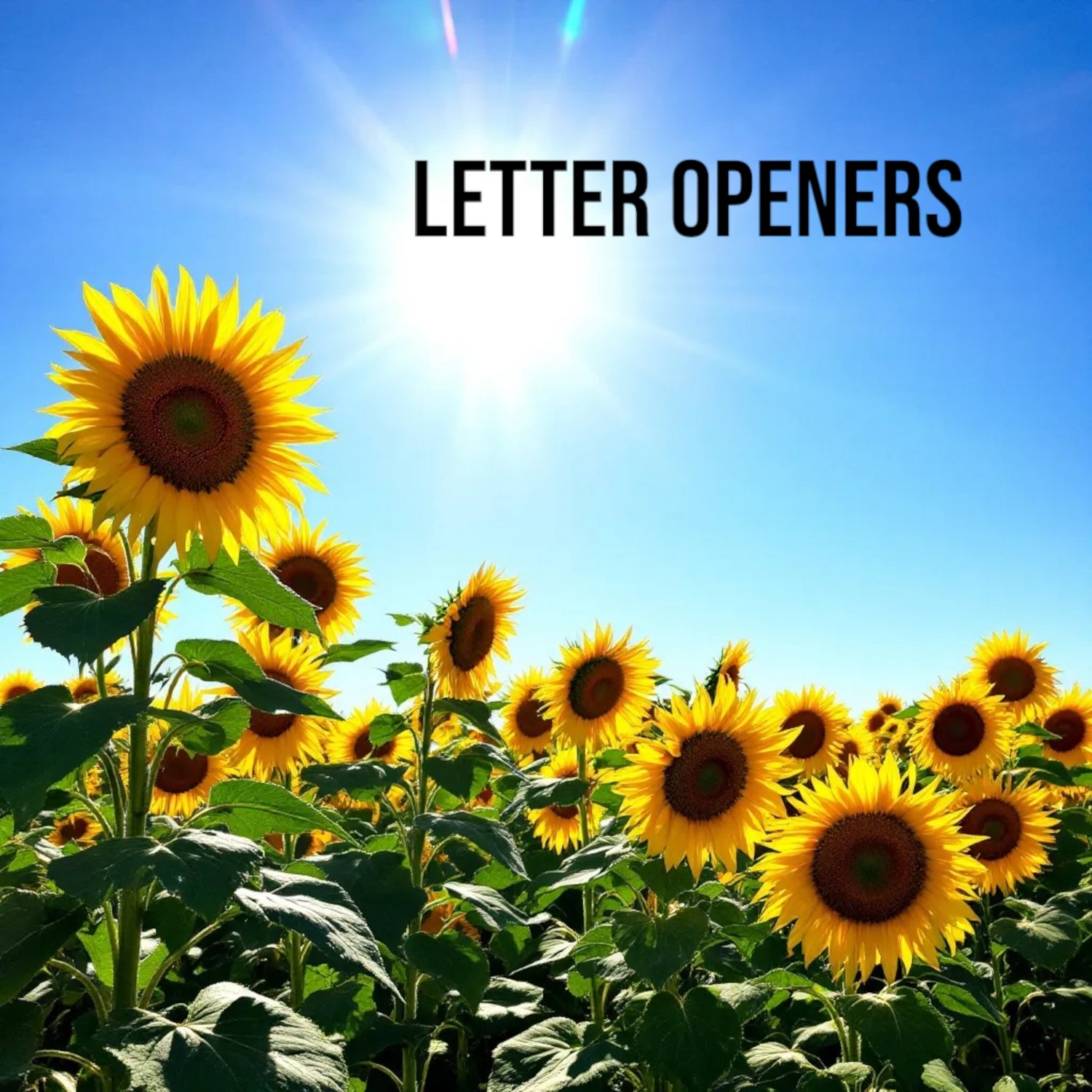 Letter Openers